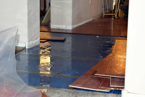 Professional Burst Pipe Cleanup technician working in La Quinta, CA